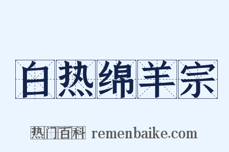 白热绵羊宗是什么意思的图片
